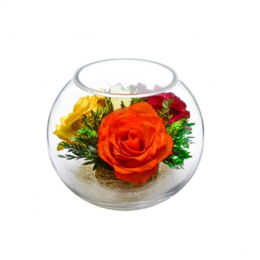 "NaturalFlowers" Арт: BSR5c цветы в стекле